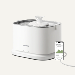 Dockstream 2 Smart Fountain